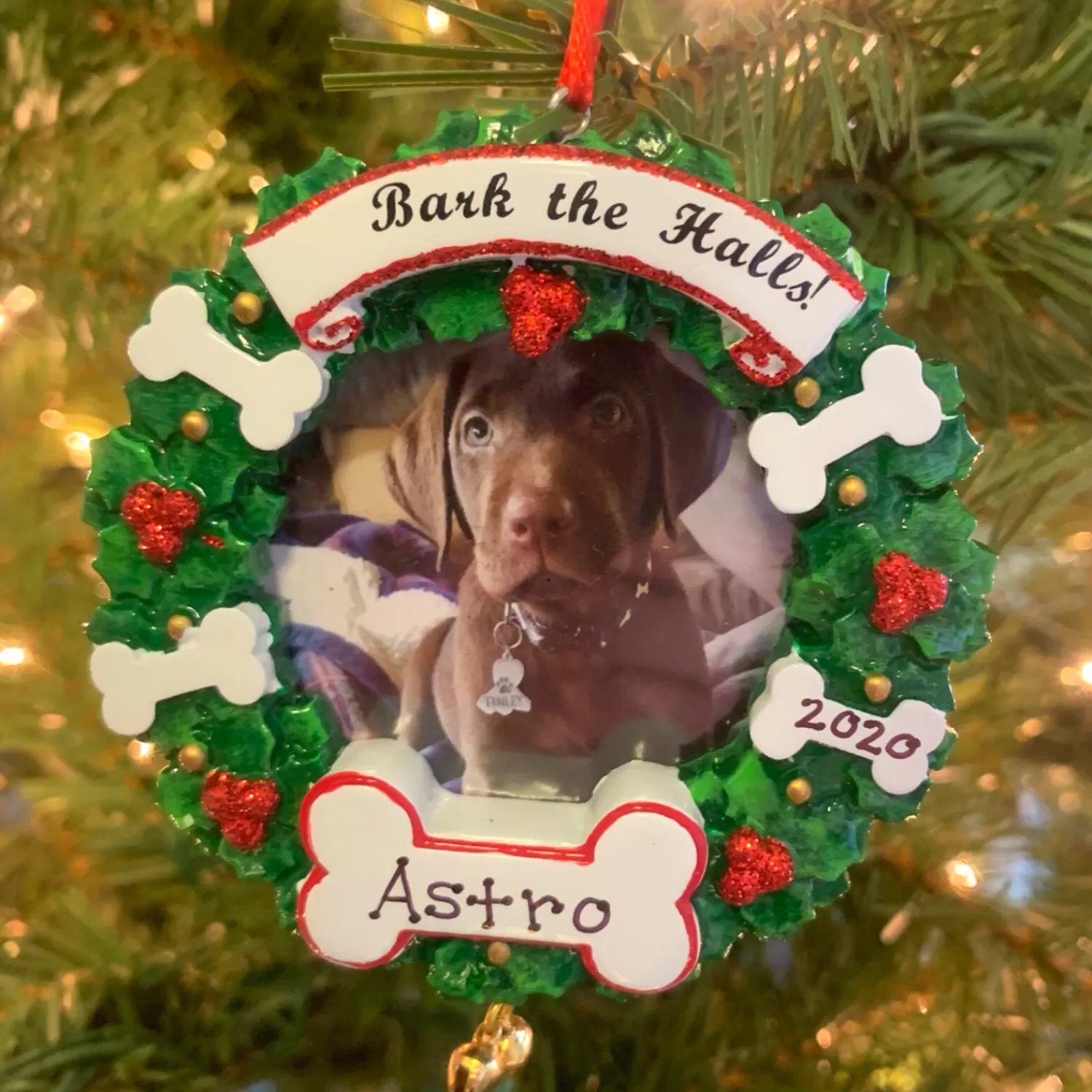 The Jolly Christmas Shop Personalized Ornaments·Pet | Animals·Dogs | Bark The Halls Pet Picture Frame Personalized Christmas Ornament PF1899
