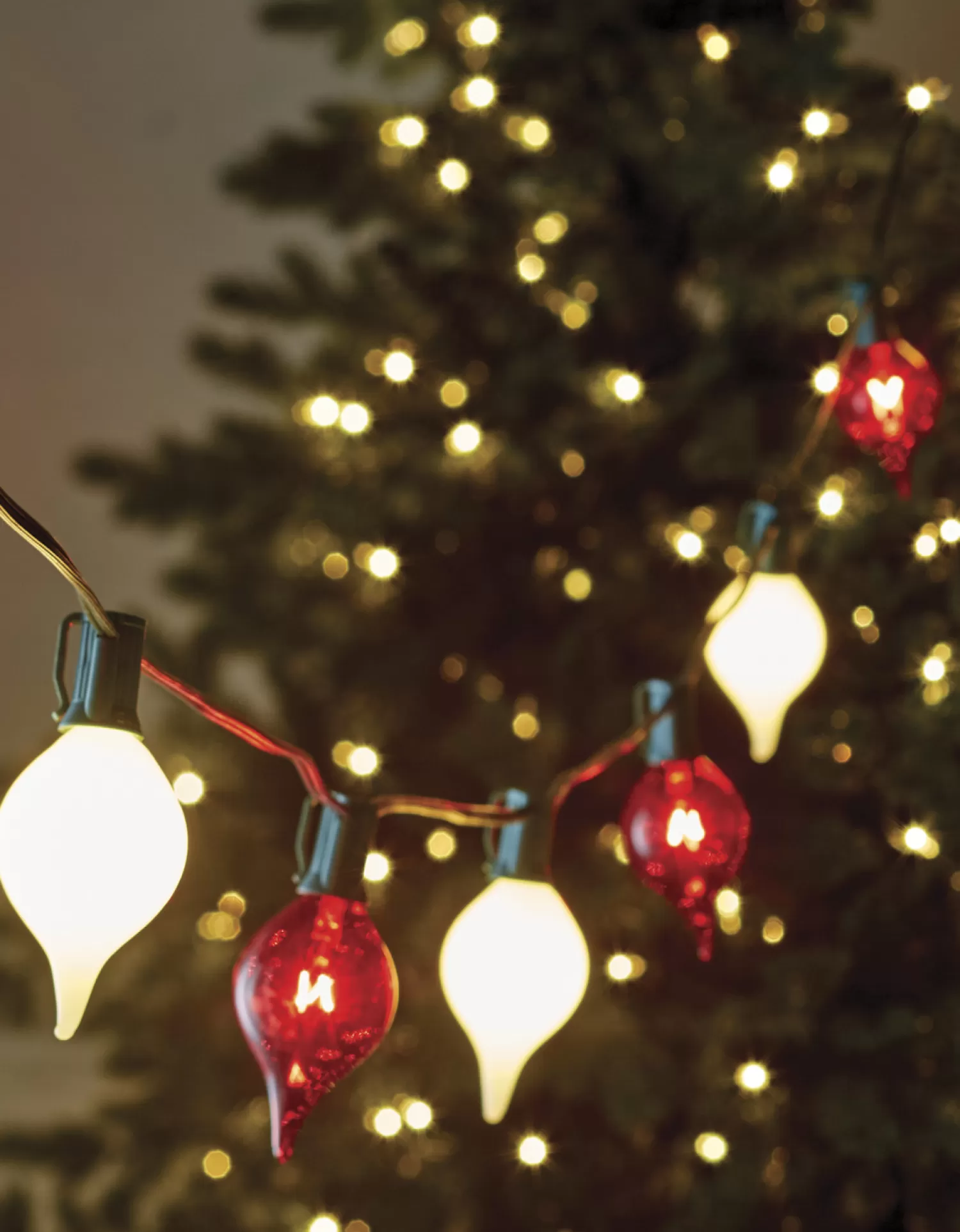 The Jolly Christmas Shop Holiday Cheers | The Candy Shop | Raz 14' Connectable Shiny Kismet String Lights With Red And White Lights On A Green Wire L4237025
