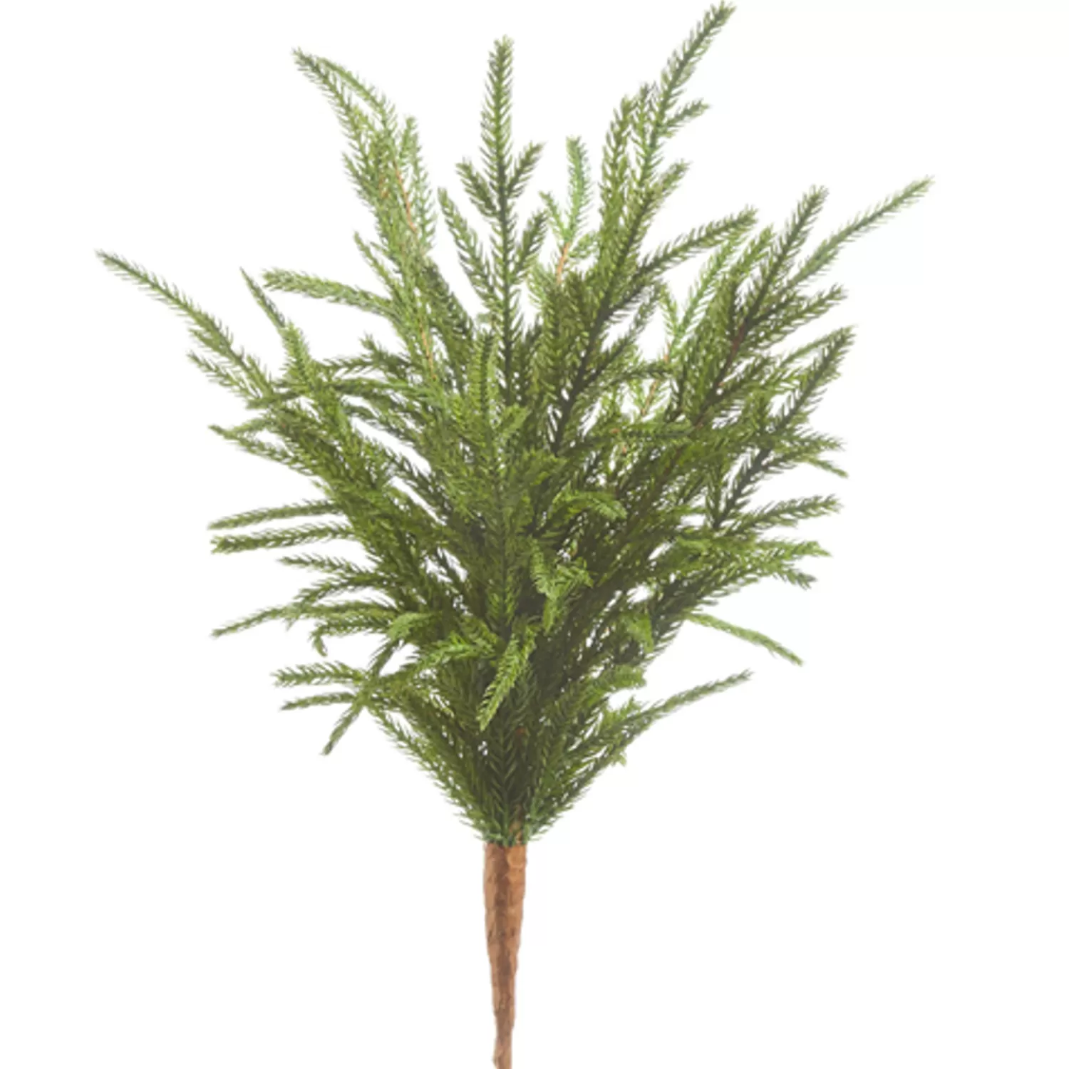 The Jolly Christmas Shop All Is Calm | Real Feel Greenery And Flowers | Raz 18" Real Feel Norfolk Pine Christmas Tree Pick F4302383