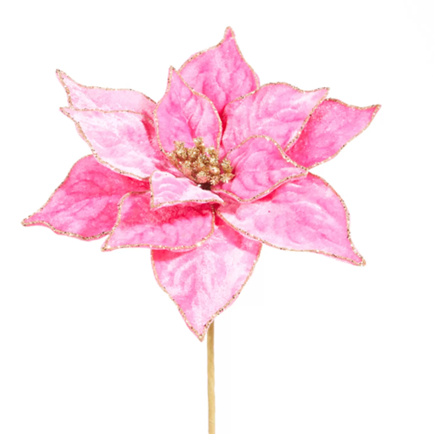 The Jolly Christmas Shop Charming Holiday | A Blushing Holiday | Raz 21" Hot Pink Velvet Poinsettia Christmas Tree Pick F4306716