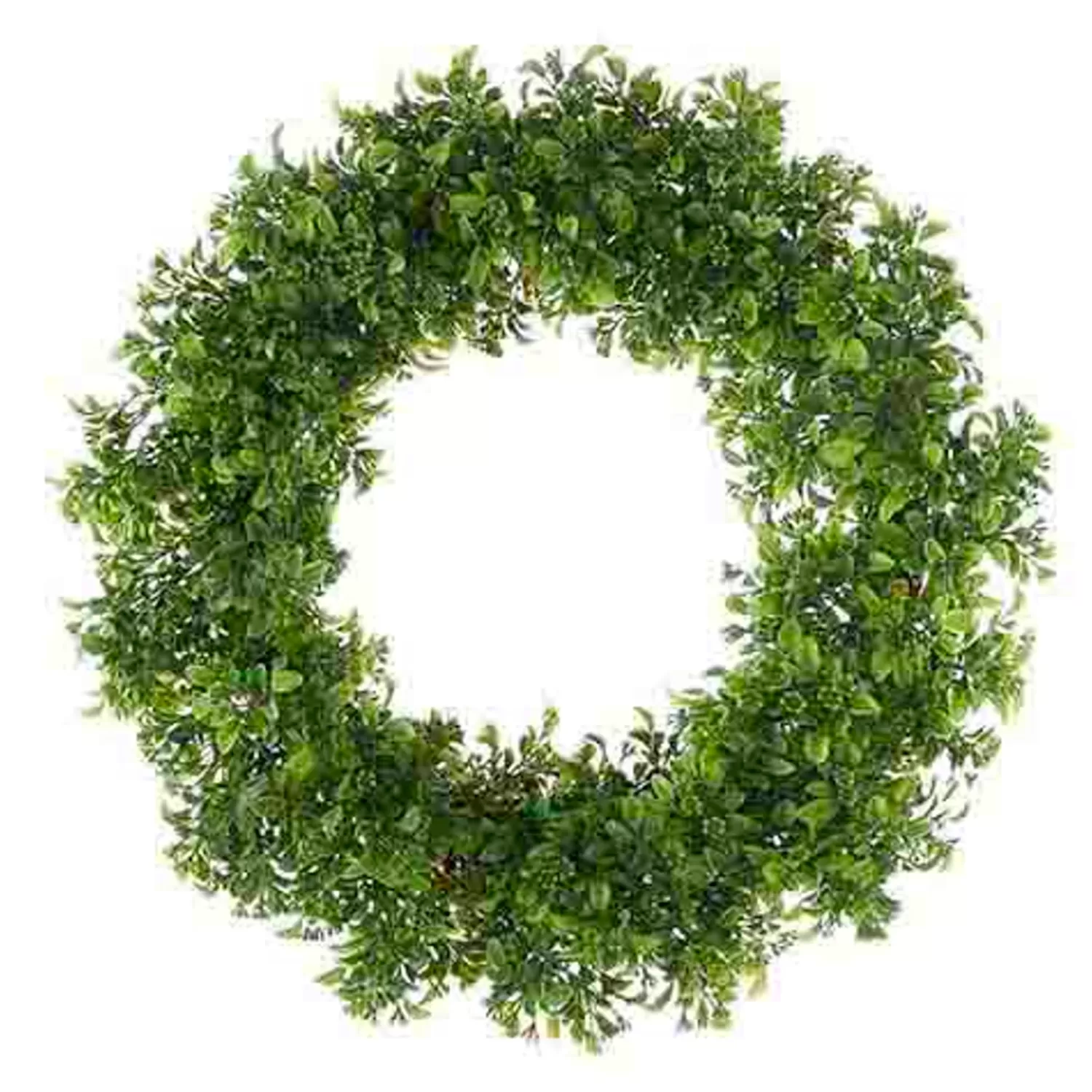 The Jolly Christmas Shop Trees, Wreaths & Garlands | Raz 22" Boxwood Wreath W4221206