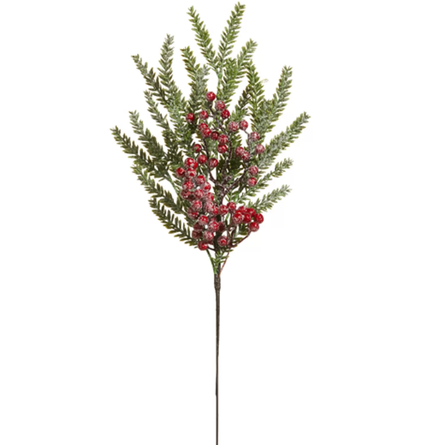 The Jolly Christmas Shop Jingle And Cocoa | Sprays, Picks, Stems | Raz 23" Iced Cedar And Berry Christmas Tree Spray F4317565
