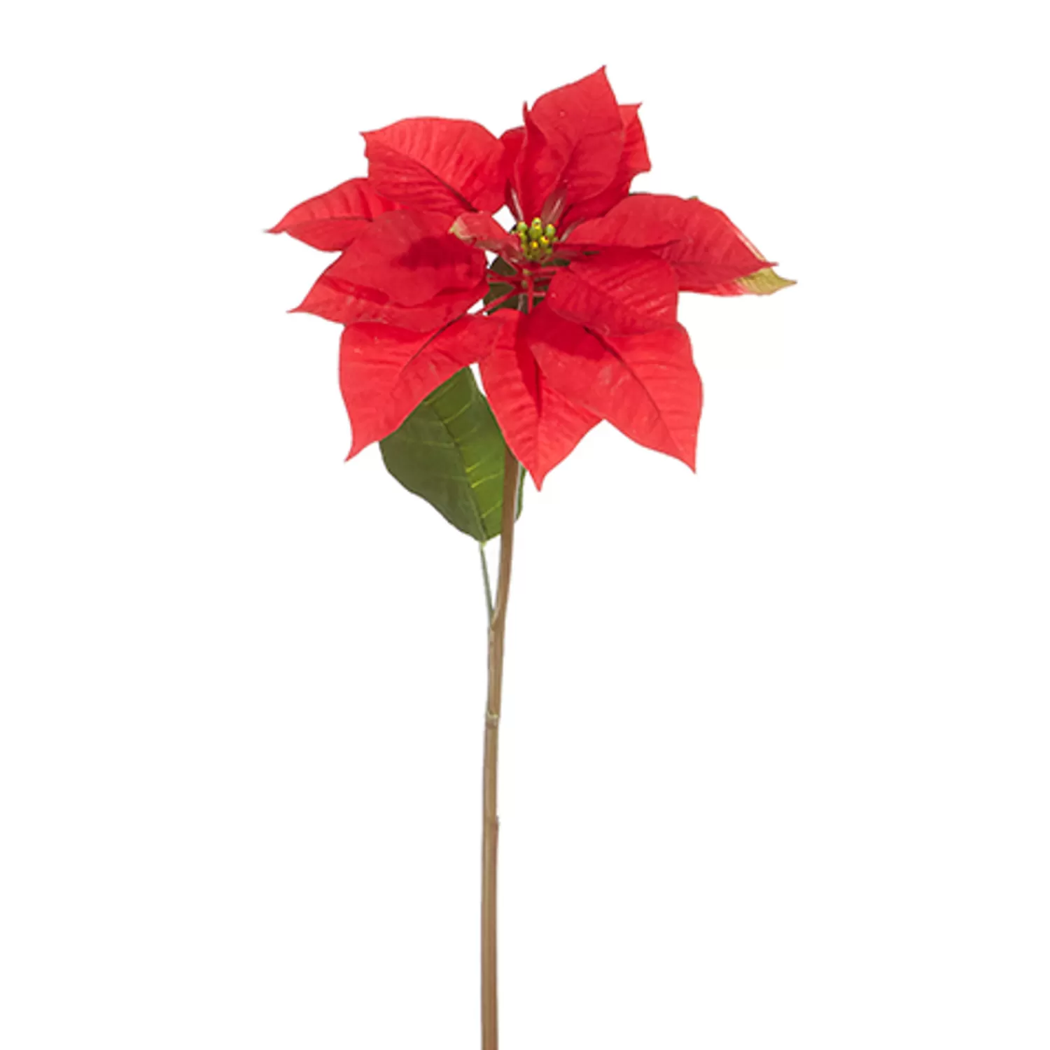 The Jolly Christmas Shop O Tannebaun | Traditional Christmas Decorations | Raz 24.5" Red Poinsettia Stem Christmas Tree Accessory F4322766