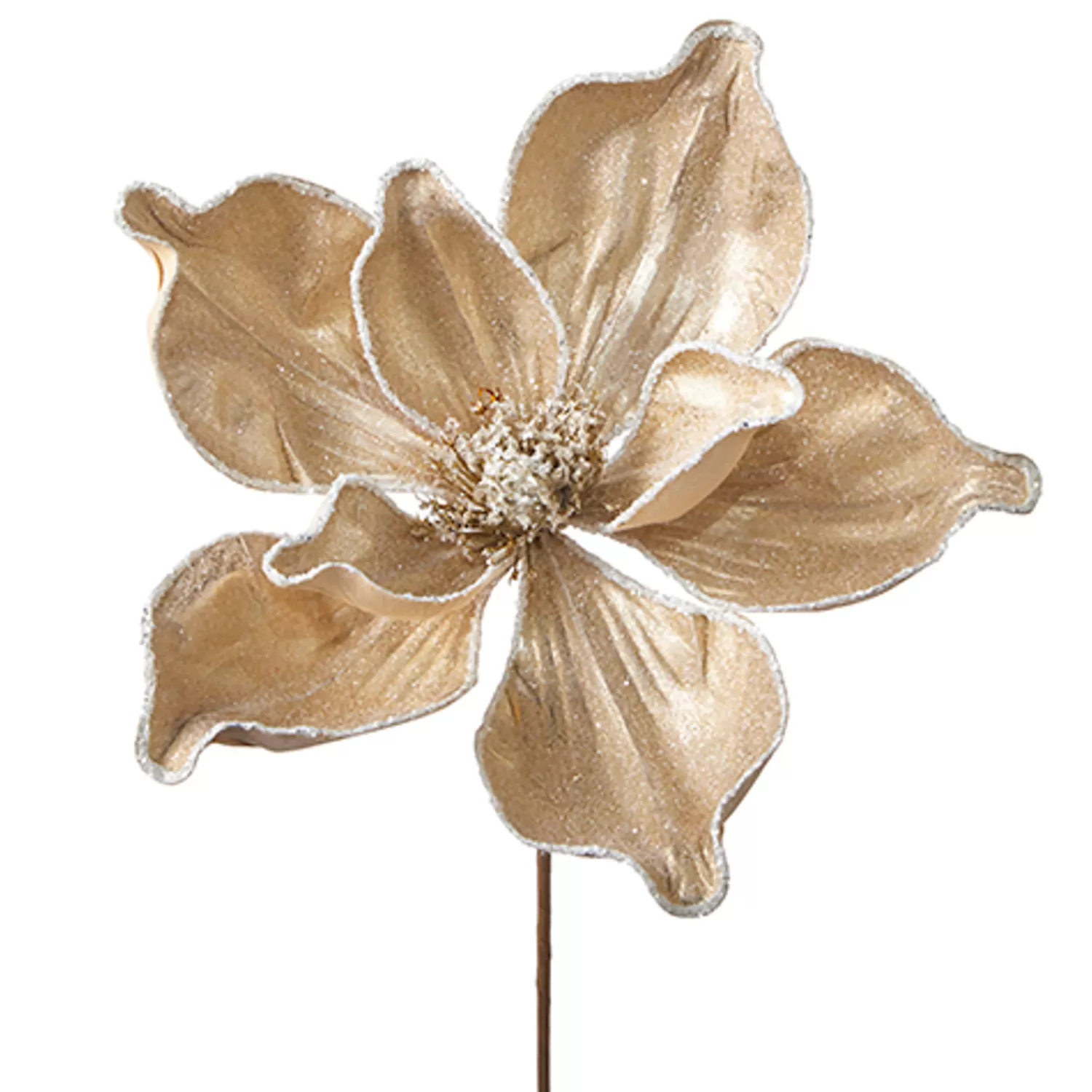 The Jolly Christmas Shop Celebrate The Season | Champagne Wishes | Raz 24" Iced Champagne Magnolia Stem Christmas Tree Spray F4206772