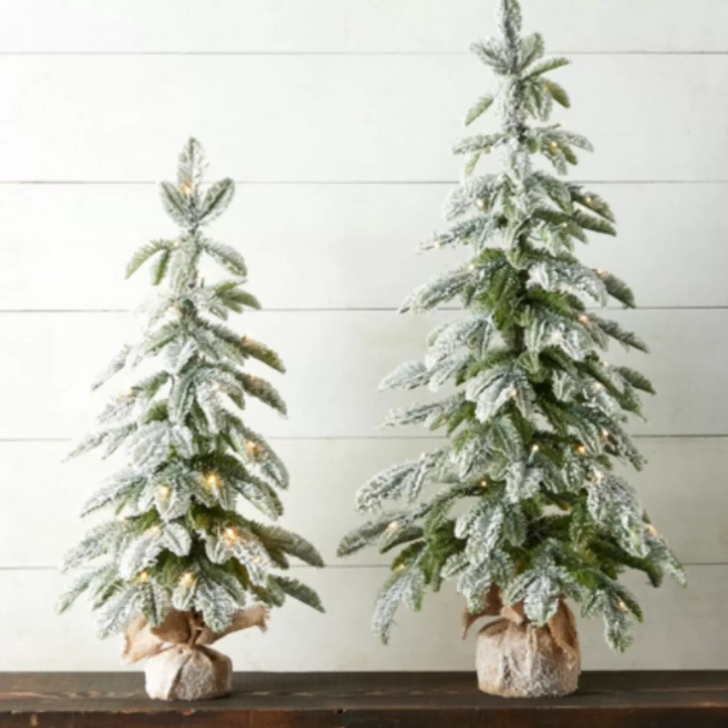 The Jolly Christmas Shop Woodland Wonder | Snowflake Soiree | Raz 28" Or 36" Flocked Pine Christmas Tree In Bag With Battery Operated Warm White Lights