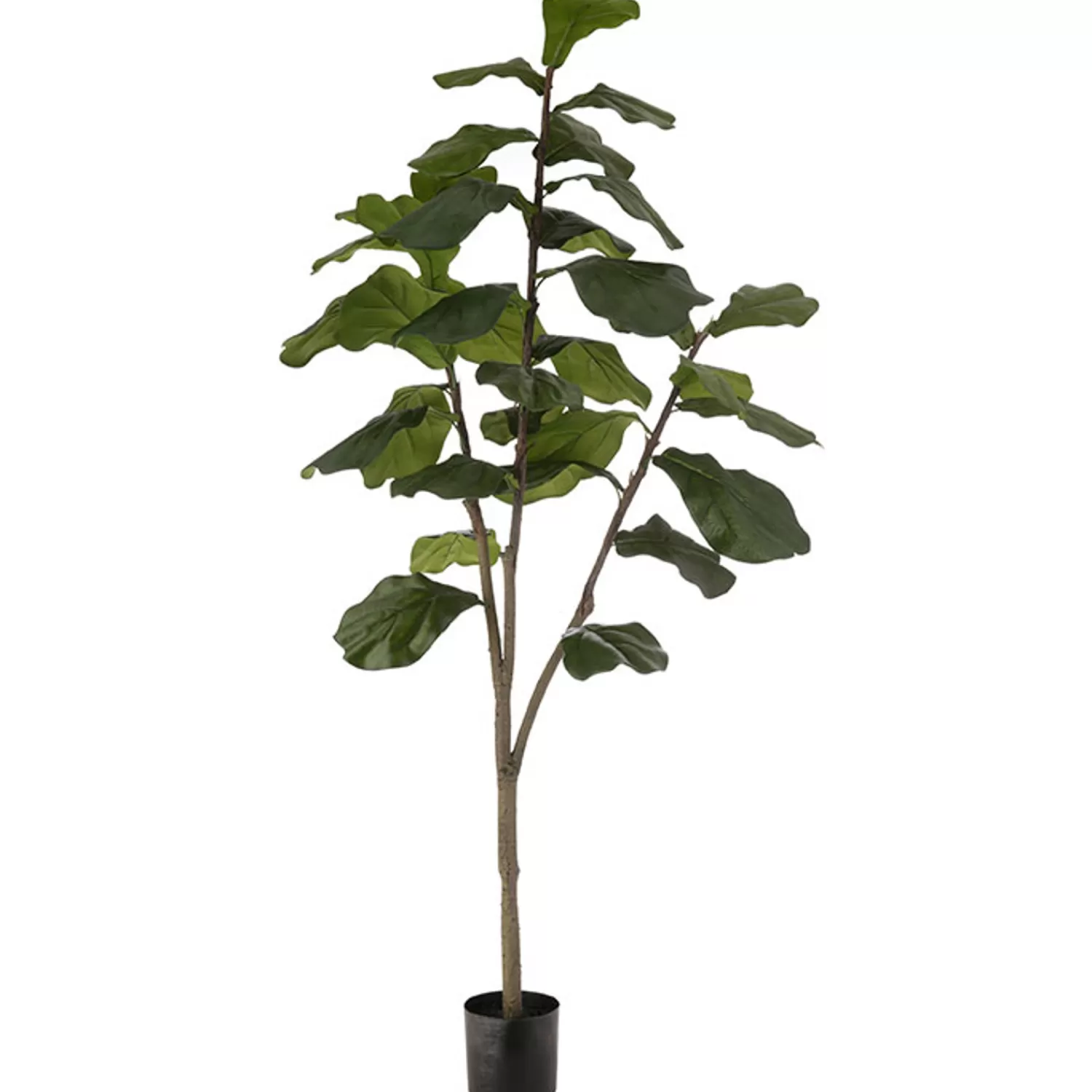 The Jolly Christmas Shop Trees, Wreaths & Garlands | Picks And Sprays | Raz 54" Potted Fiddle Leaf Fig Artificial Tree Decoration 3902097