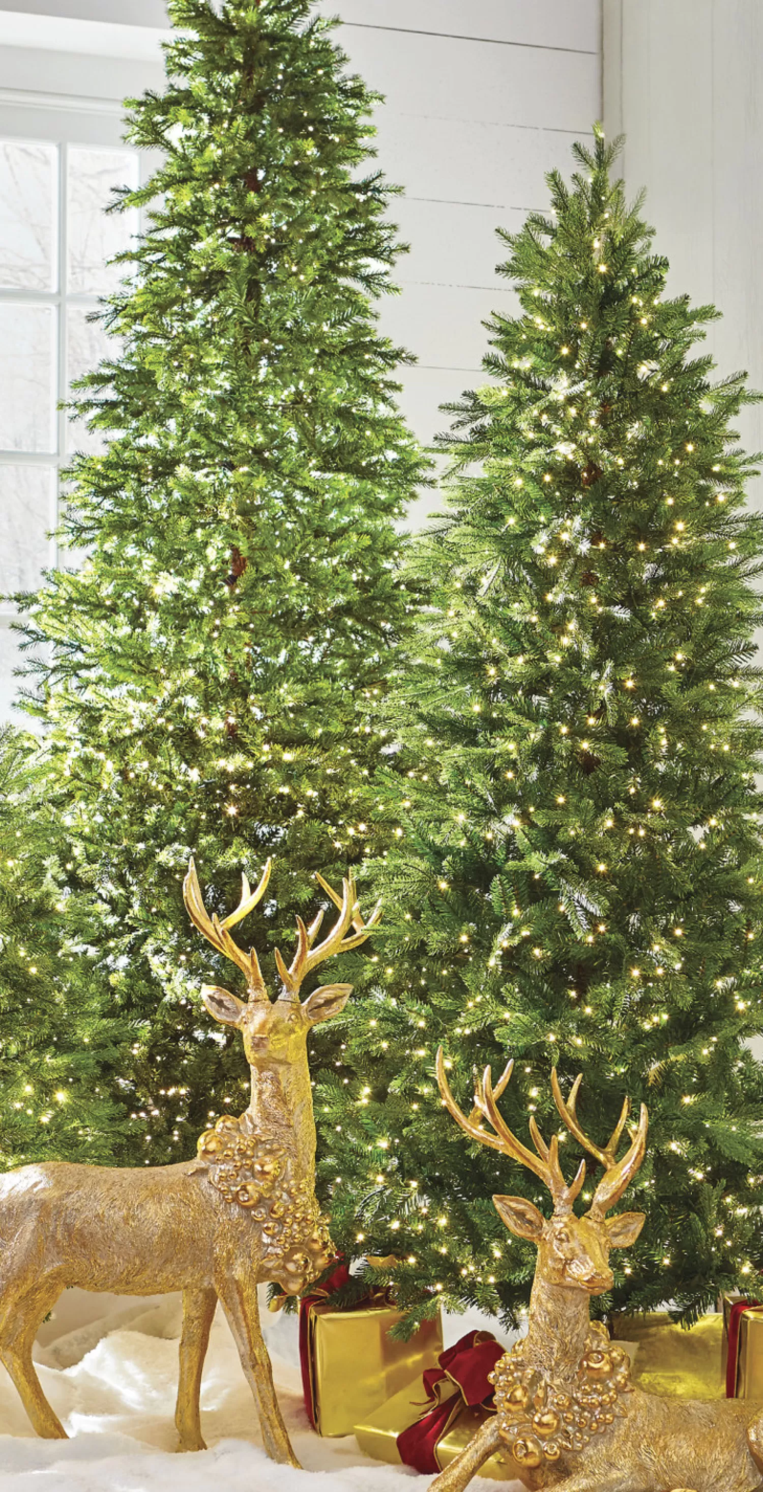 The Jolly Christmas Shop Classic Carols | 9' Christmas Tree | Raz 7.5' Or 9' Snake Light Green Slim Spruce Artificial Christmas Tree